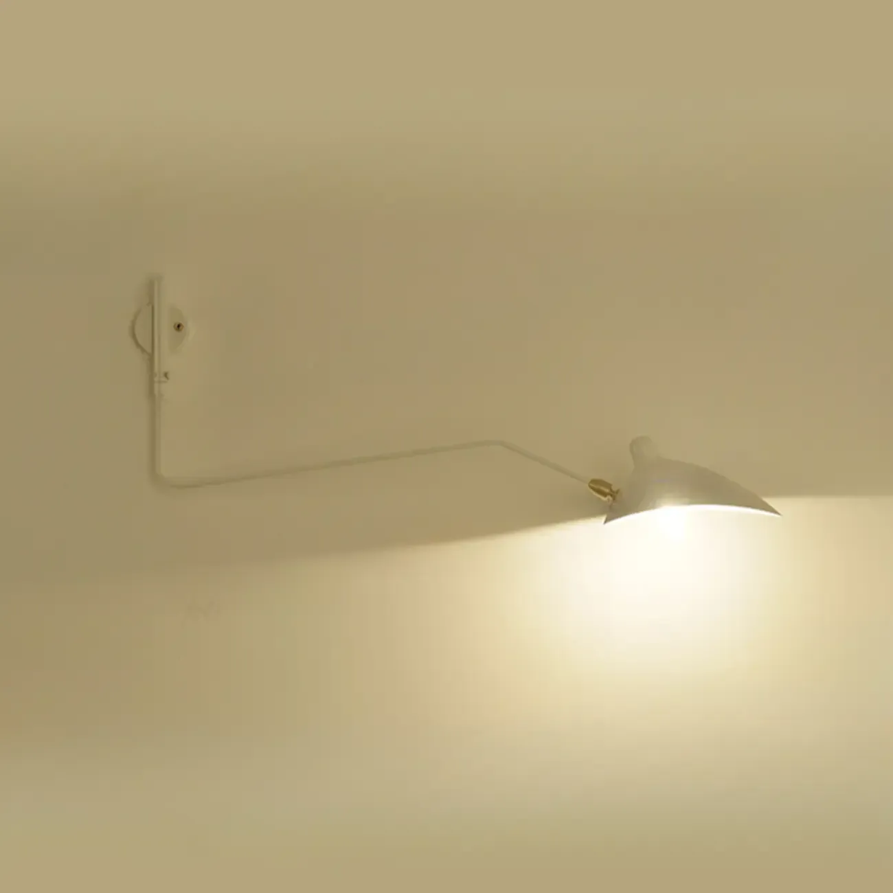 Modern Metal Industrial 2-Light Swing Arm Wall Light