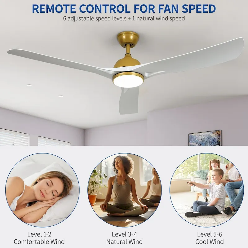 Moasis 56 ack Gold Ceiling Fan 3-Blade Modern Smart Reversible Ceiling Fan