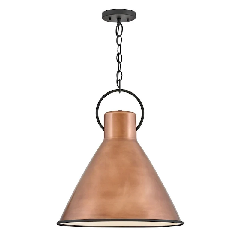 Hinkley Lighting Winnie Single Light 18  Wide Pendant