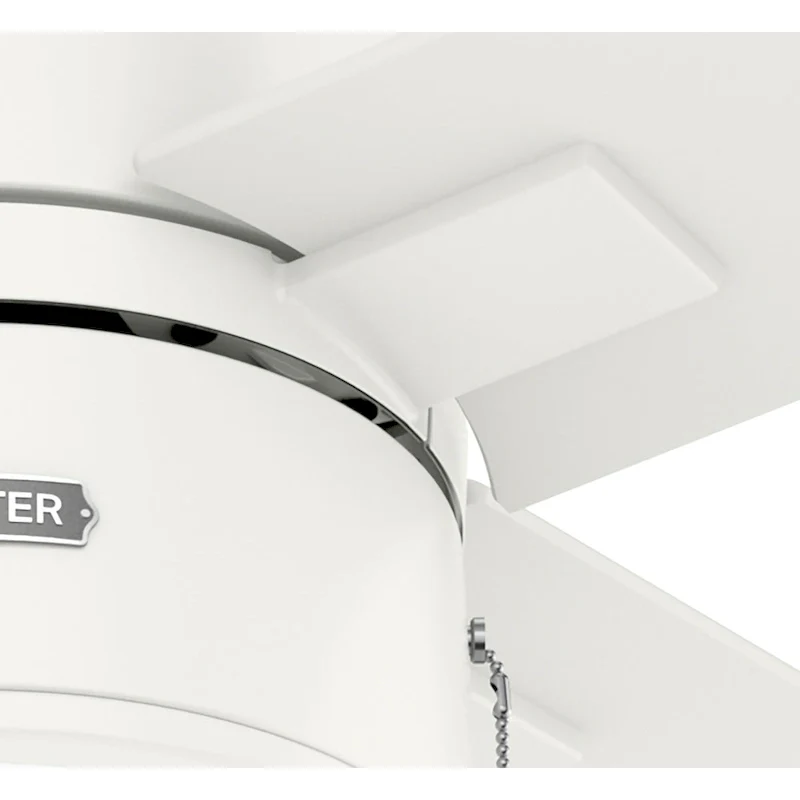 Hunter 52  Beck Ceiling Fan with LED Light Kit and Pull Chain - Transitional, Modern, Farmhouse