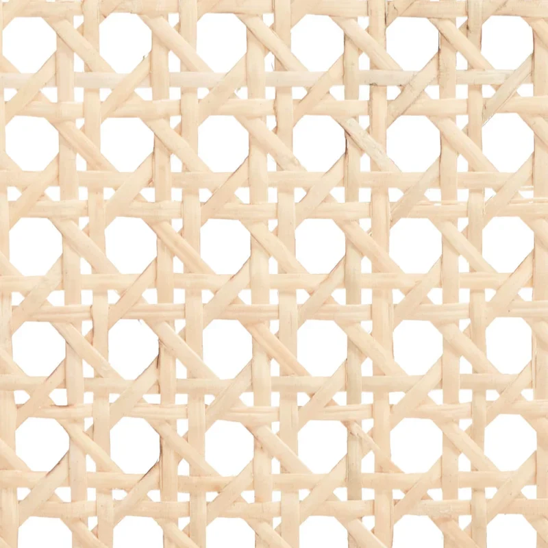 SAFAVIEH Carry Low Back Cane Counter Stool - 16 W x 19 D x 31 H - 16Wx19Dx31H