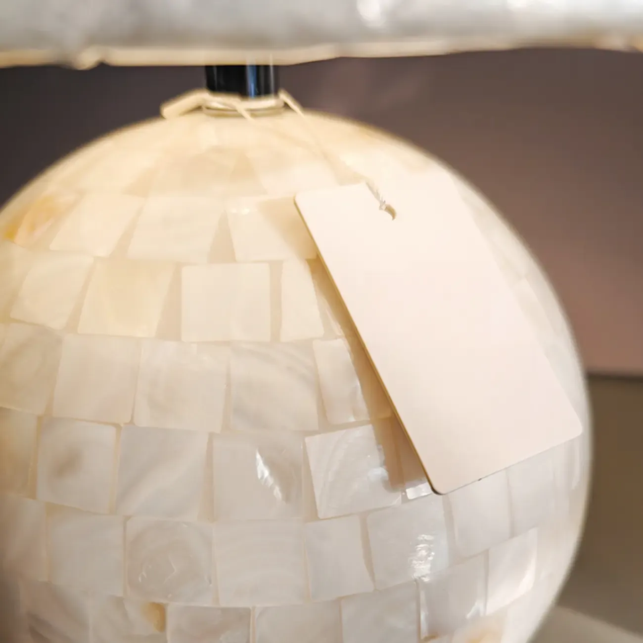 Modern Shell Table Lamp with Geometric Shade