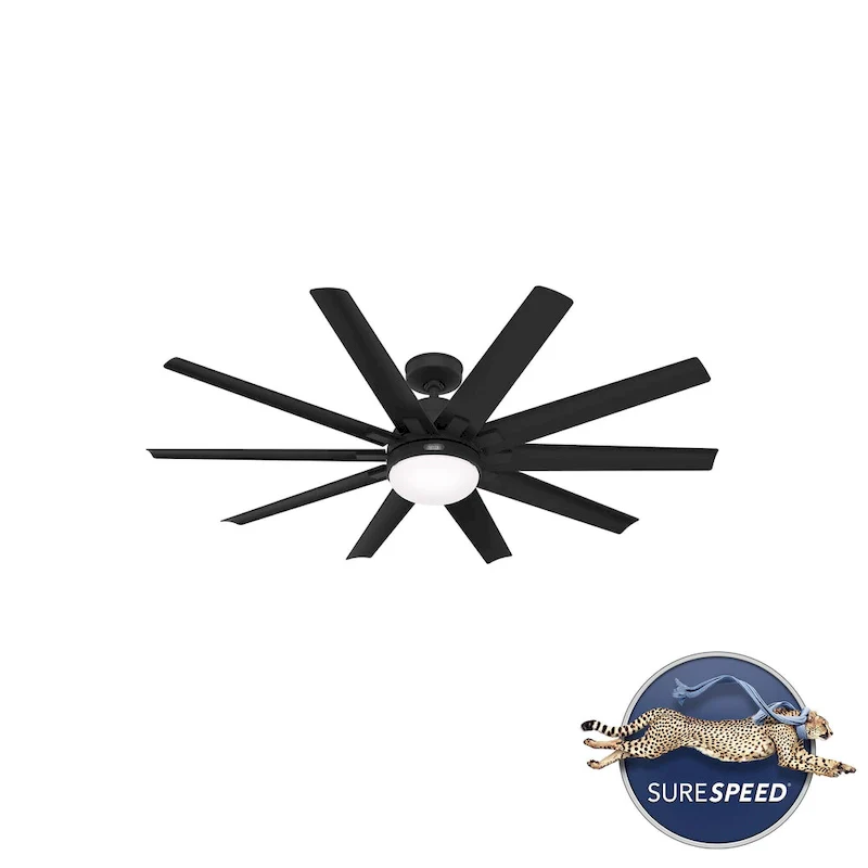 Hunter 60  Overton Damp Rated Ceiling Fan with LED Light Kit and Wall Control - Windmill, Transitional, Modern - ENERGY STAR