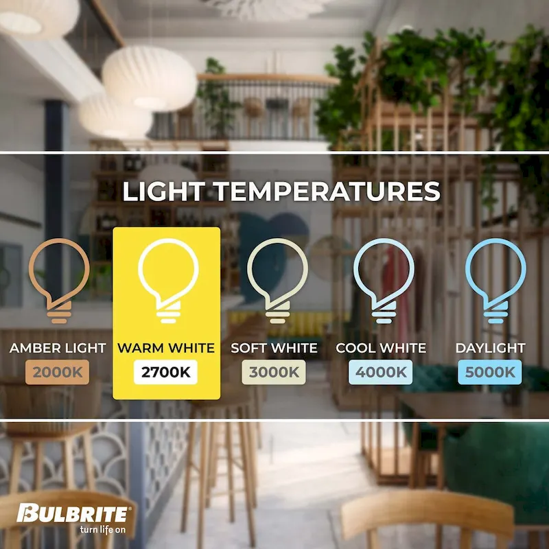 Bulbrite Pack of (6) 60 Watt Dimmable Half Gold A19 Incandescent Light Bulbs with Medium (E26) Base, 2700K Warm White Light