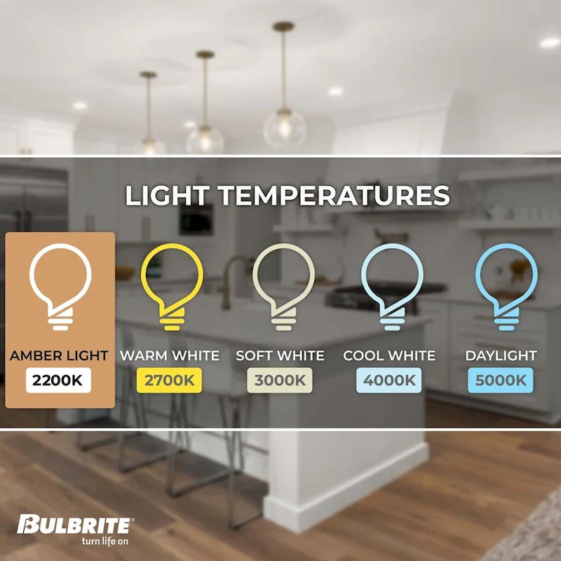 Bulbrite 60 Watt Dimmable Grand Nostalgic Medium (E26) Incandescent Bulb