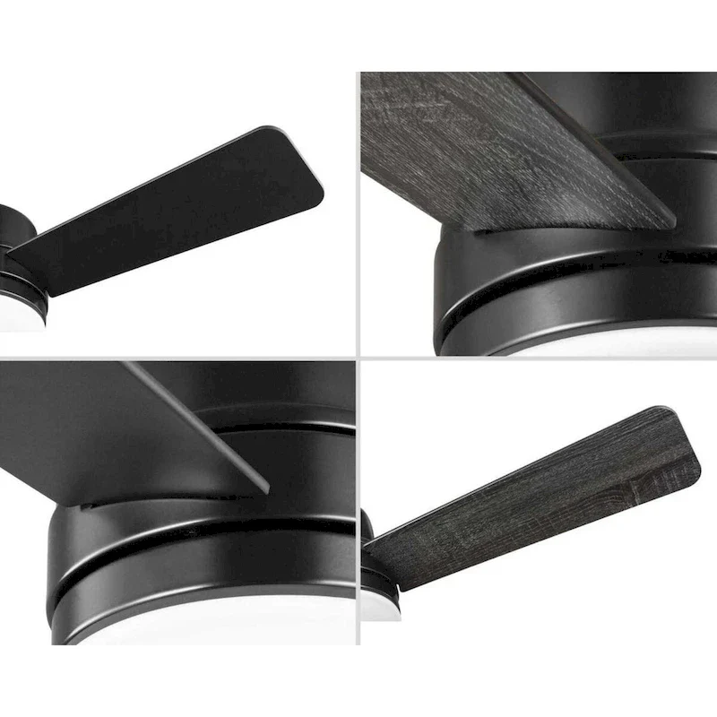 Progress Lighting Trevina II 44  3 Blade LED Ceiling Fan with Wall