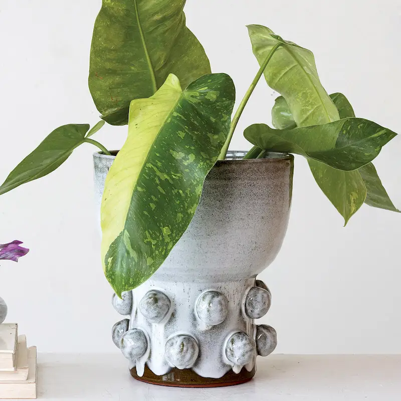 Terra-cotta Footed Vase with Raised Dots and Reactive Glaze