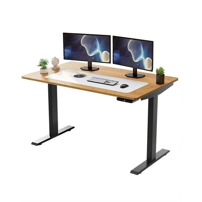 Rise Up Electric Standing Desk Dual Motor 48x30 solid bamboo desktop