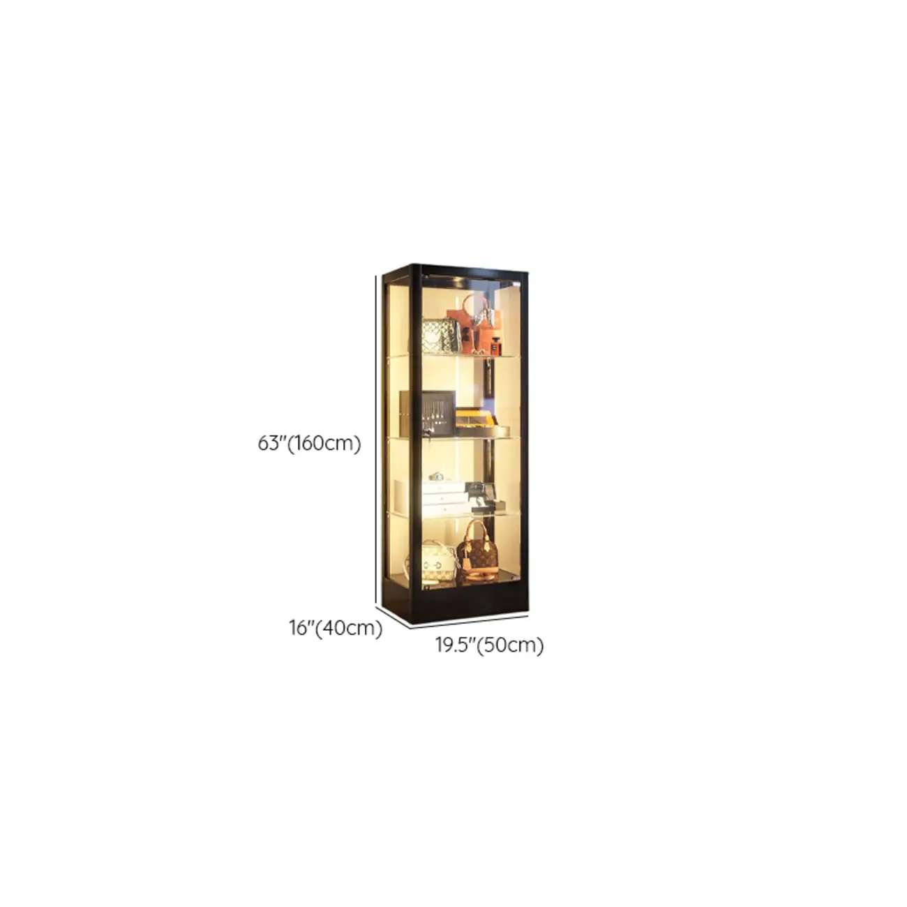 Enclosed Black 5-Shelf Metal Curio Cabinet with Light