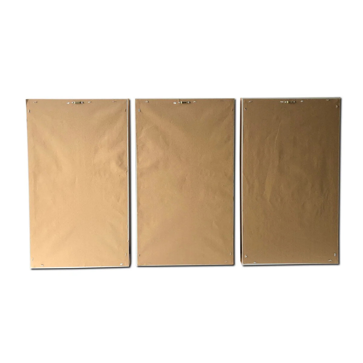 Golden Birds 3 Piece Set Print on Gold Floating Framed Canvas Wall Art