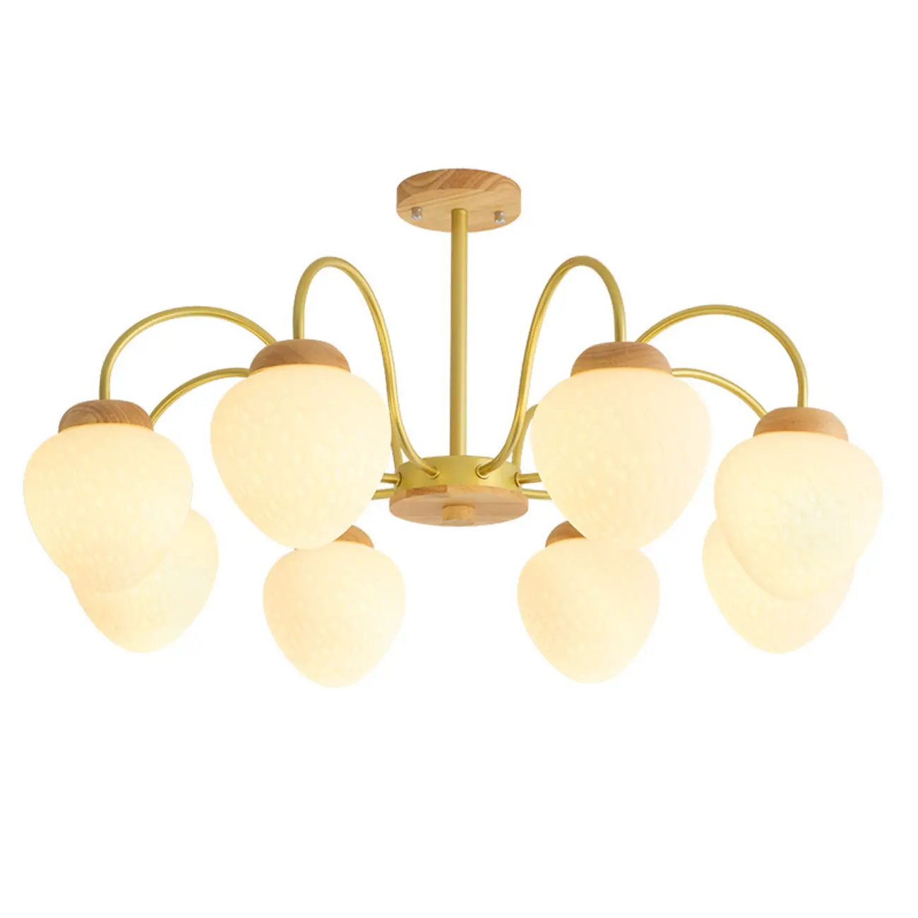 3/5/8-Light Modern Globe Ceiling Chandelier with Glass Shades