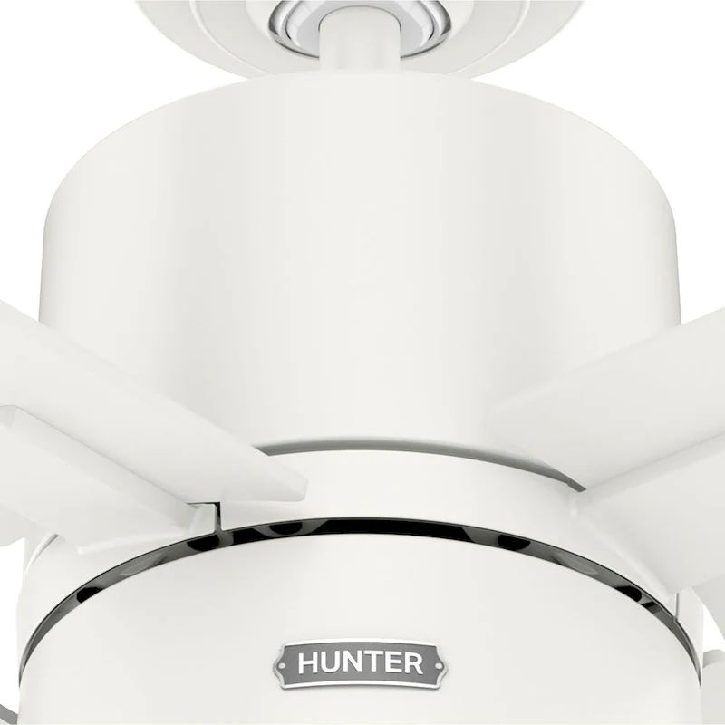 Hunter 42  Beck Ceiling Fan with LED Light Kit and Pull Chain - Transitional, Modern, Industrial