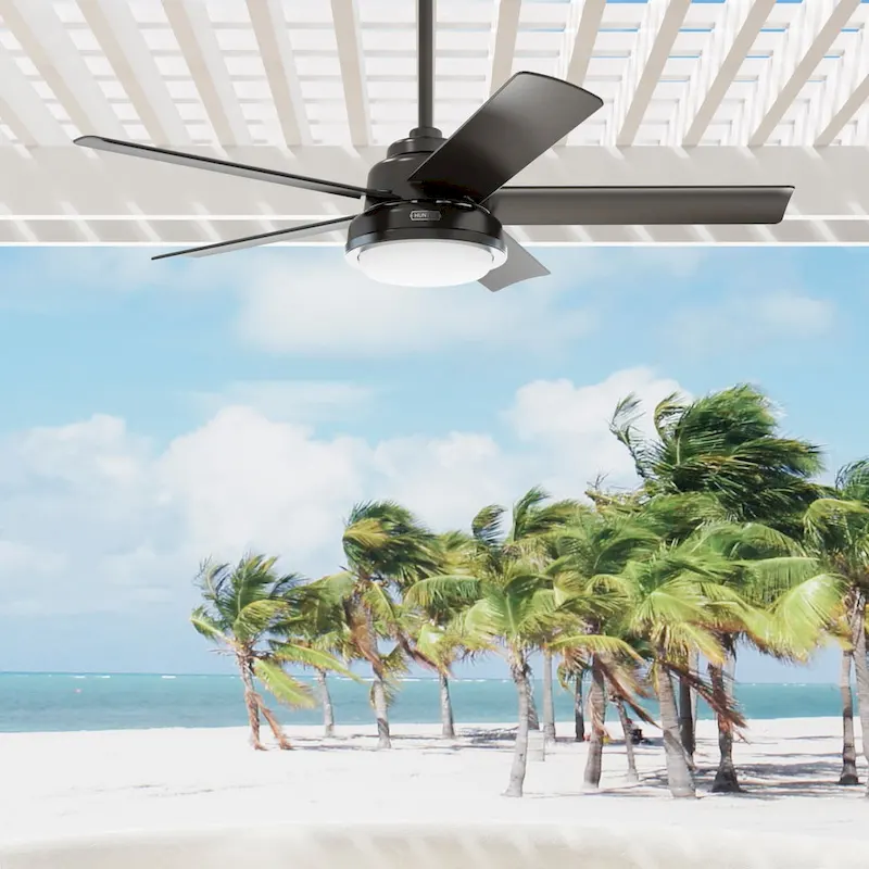 Hunter 52  Seawall Outdoor Ceiling Fan with LED Light Kit, Wall Control - Wet Rated!