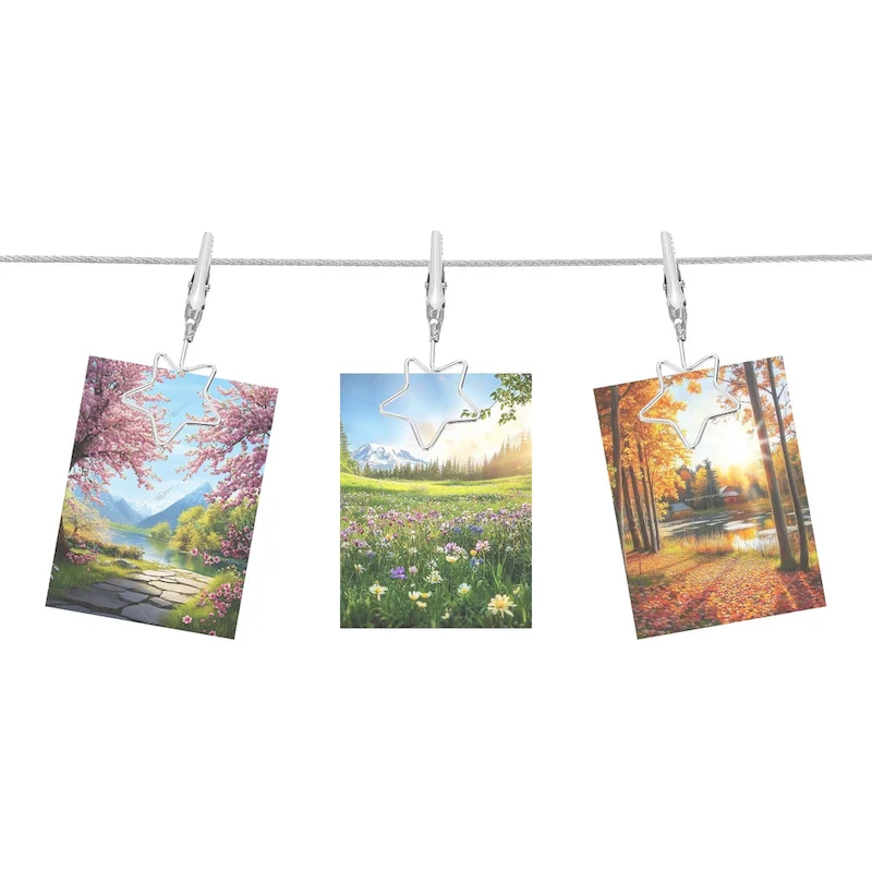 5Ft Wall Hanging Photo Display Cable Wire Rod with 10 Star Shaped Clips