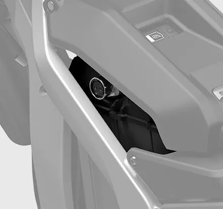 Pasted Image