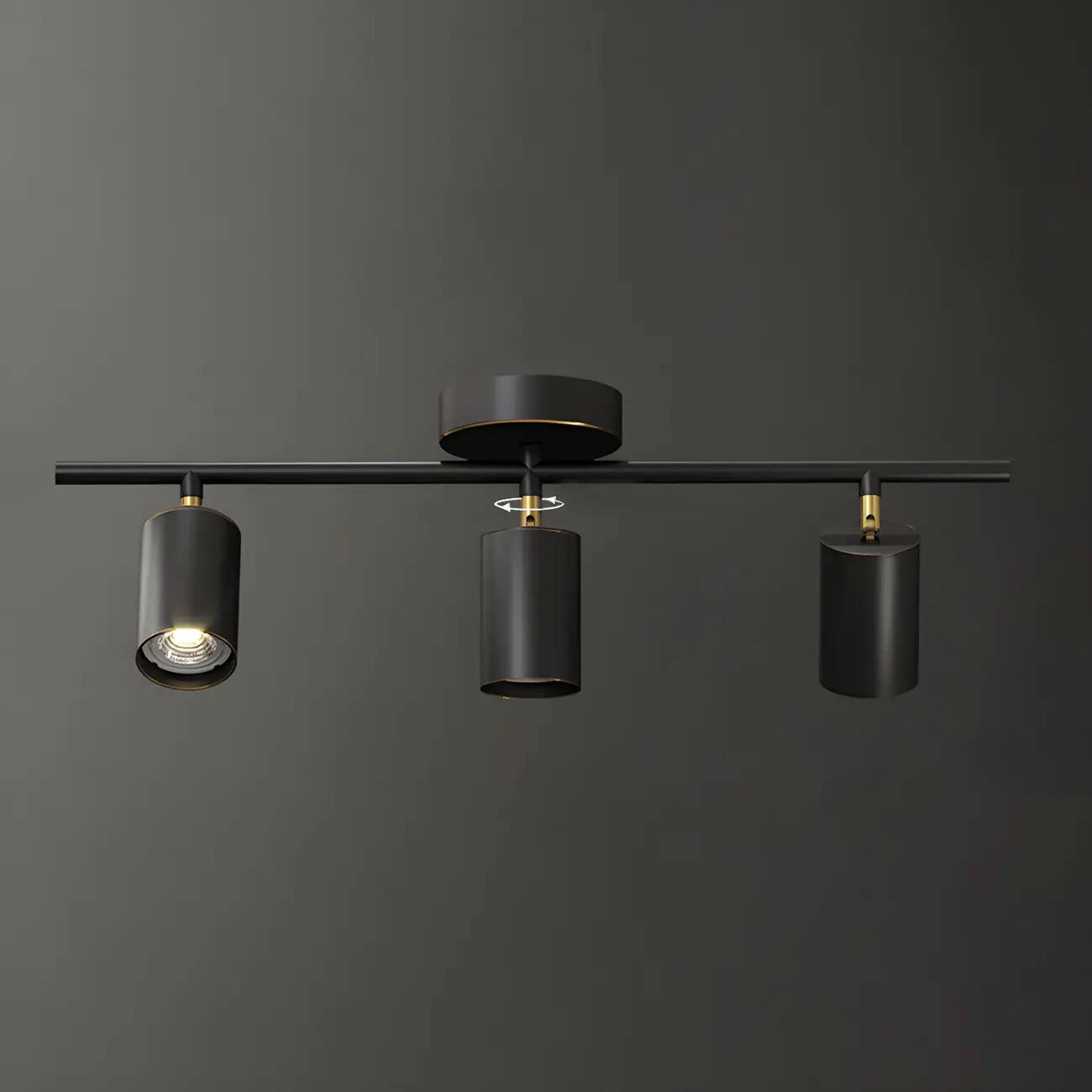 4 Light Gold Track Lighting with Adjustable Heads