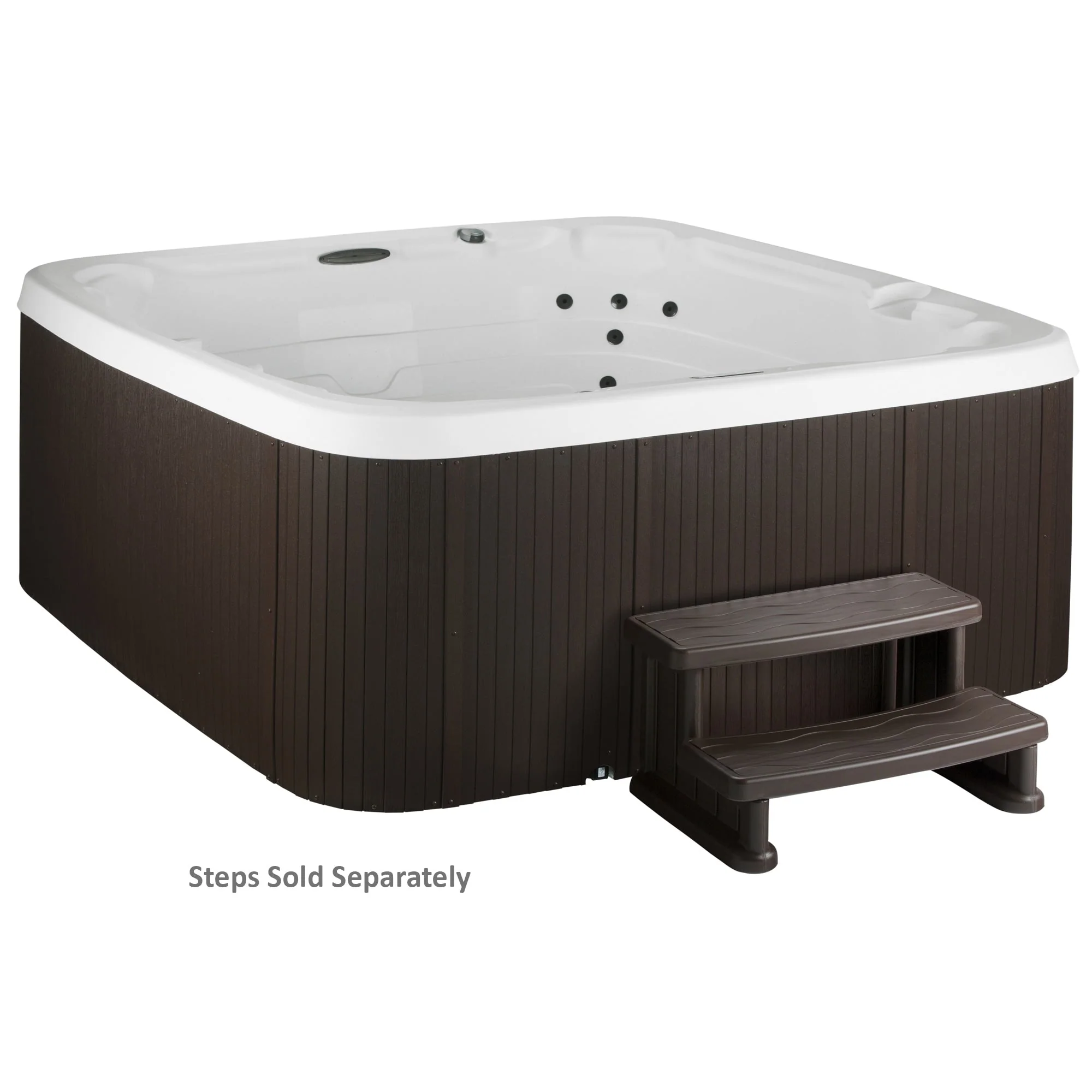 Lifesmart LS450DX 7-Person 22-Jet 110v Plug and Play Spa with Waterfall