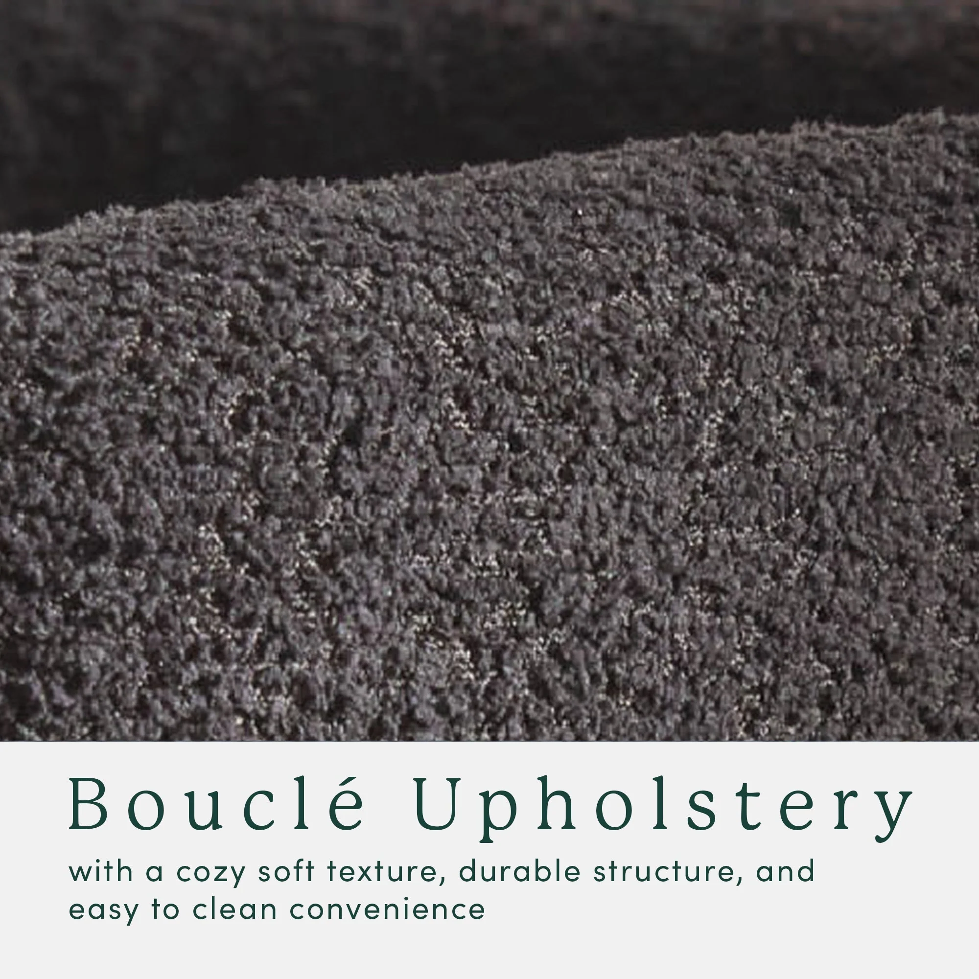 Ezra Modern Boucle Solid Wood Rounded Back Dining Chair (Set of 2)