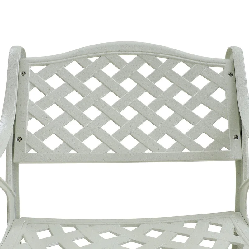 Set of 2 Cast Aluminum Stationary Dining Chairs