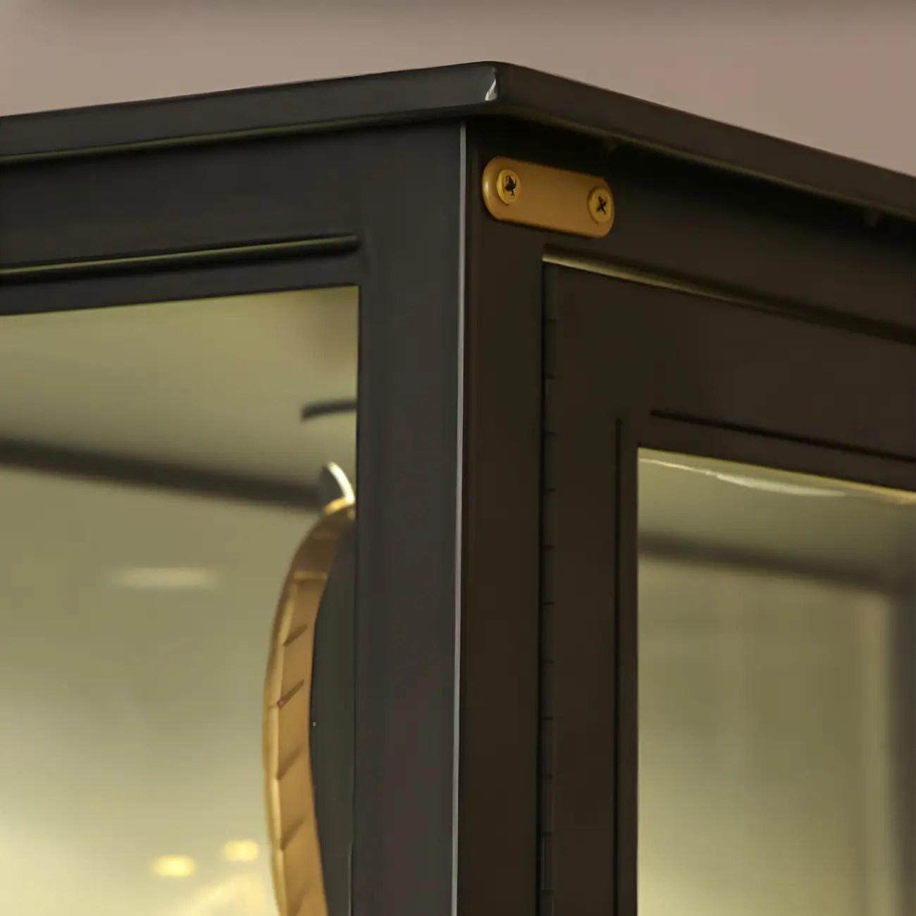 Black Metal Glass Shelves Display Cabinet with Lights