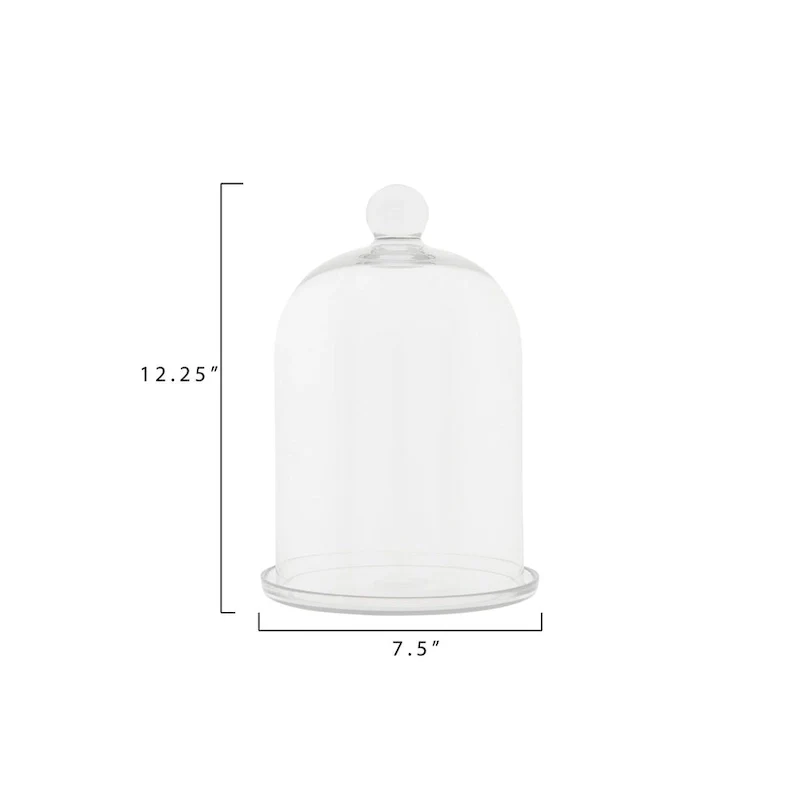 Glass Cloche with Clear Glass Plate (Set of 2 Pieces)