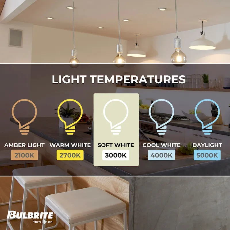 Bulbrite Pack of (2) 8.5 Watt Dimmable Filament G40 Medium (E26) LED Bulb