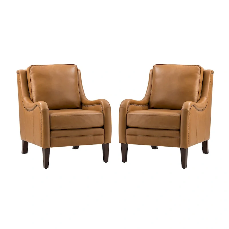 Pascual Comfy Living Room Armchair Set Of 2 with Solid Wood Legs