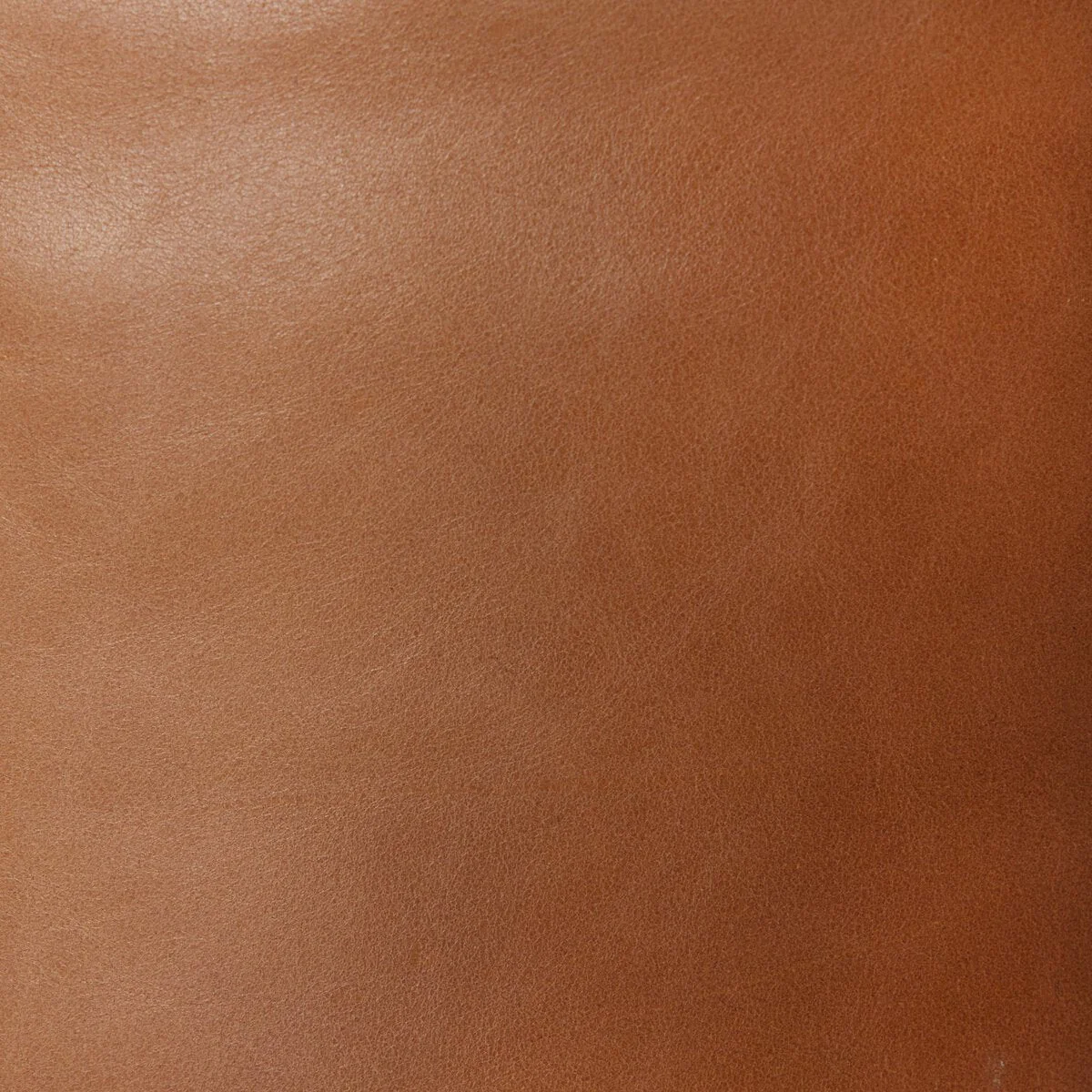 Radley Power Recliner