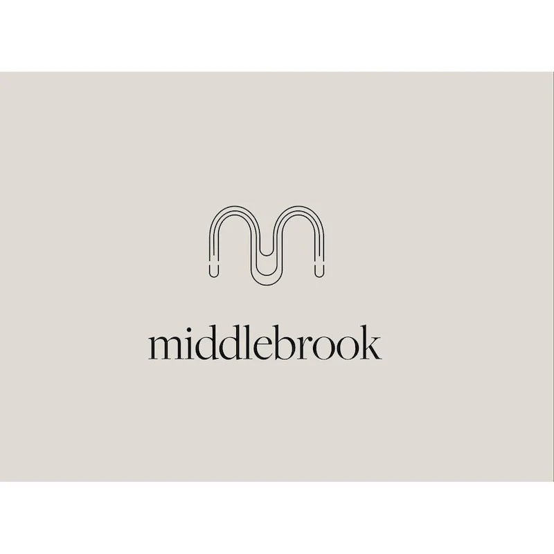 Middlebrook Designs Modern Curved Metal Queen Canopy Bed