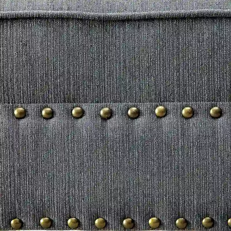 Sing Transitional Fabric Upholstered Nailhead Trim Chaise Lounge Chair by Furniture of America