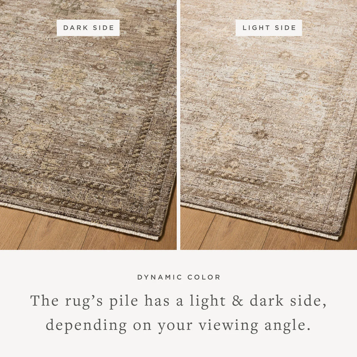 Priscilla Sand / Earth Rug