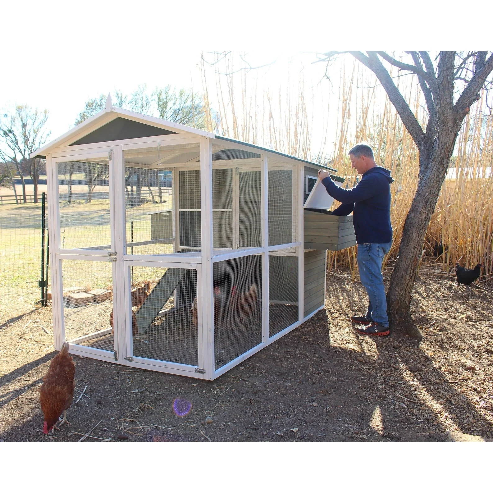Zylina Big Green Chicken Coop