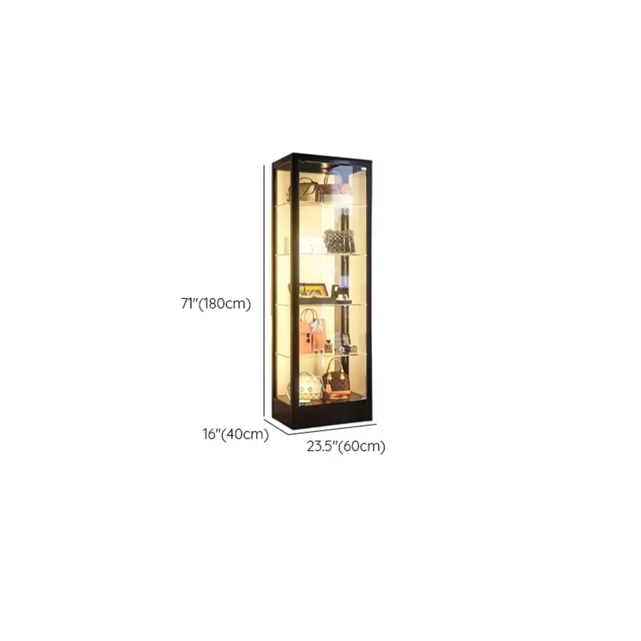 Enclosed Black 5-Shelf Metal Curio Cabinet with Light