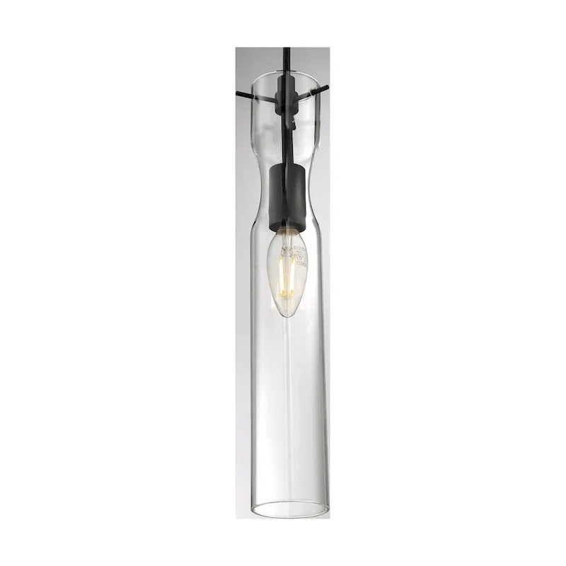 Spyglass 1-Light Mini Pendant Fixture - Black Finish with Clear Glass