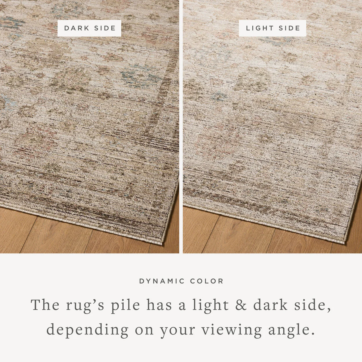 Priscilla Ivory / Multi Rug