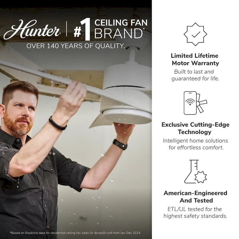 Hunter 60  Wilder Ceiling Fan with LED Light Kit and Wall Control