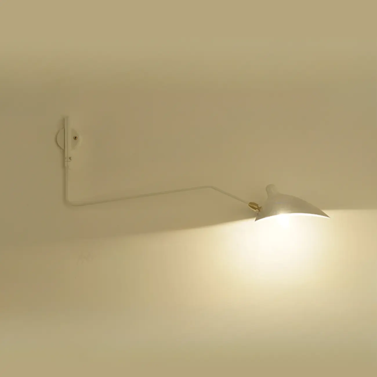 Modern Metal Industrial 2-Light Swing Arm Wall Light