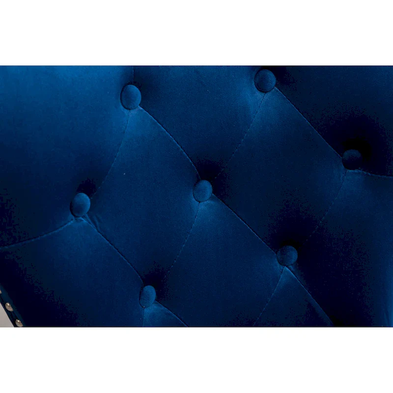 Roundhill Furniture Montura Tufted Velvet Chair (Set of 2)