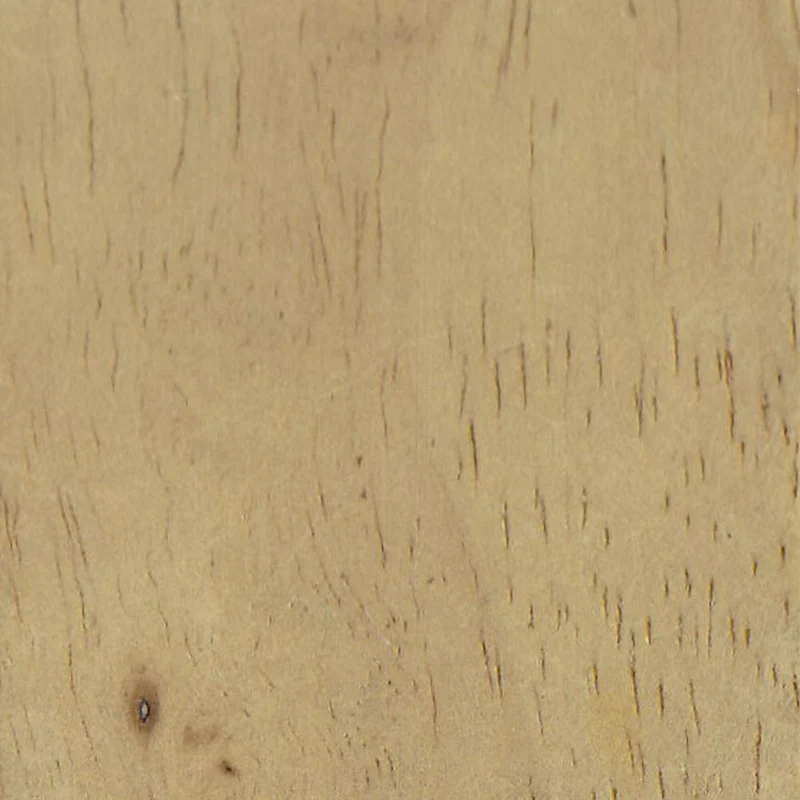 HomePop Modern Wood Frame Accent Chair