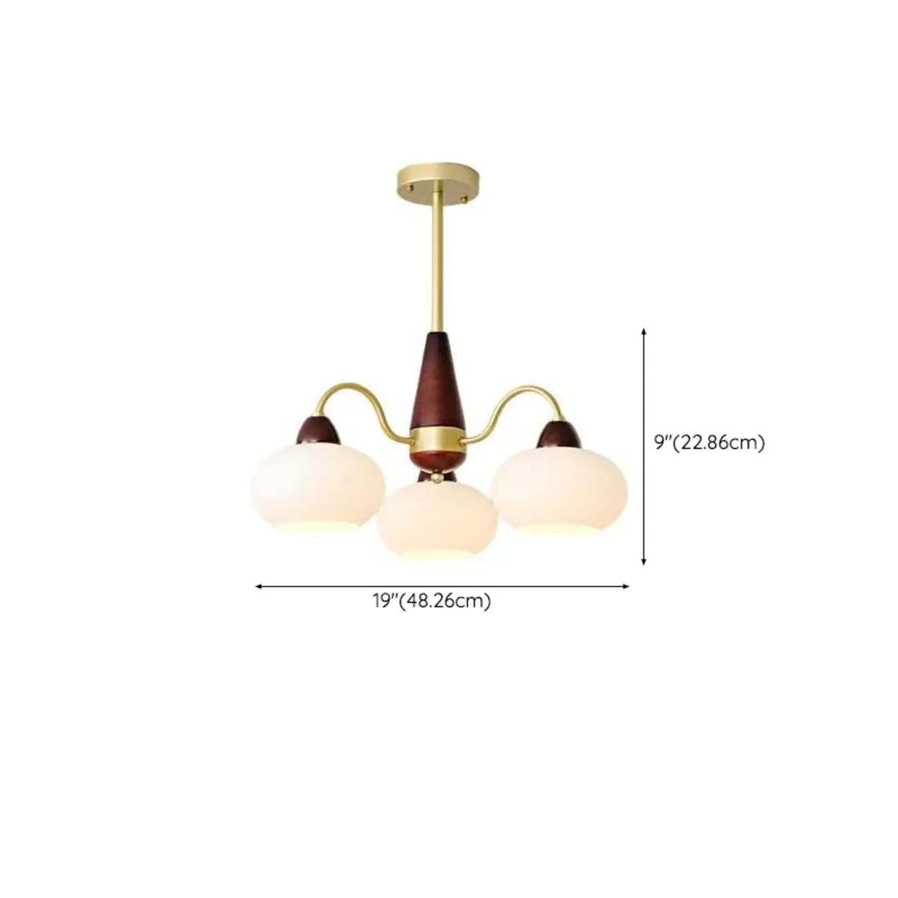 Classic Gold Glass Drum Shade Elegant Chandelier