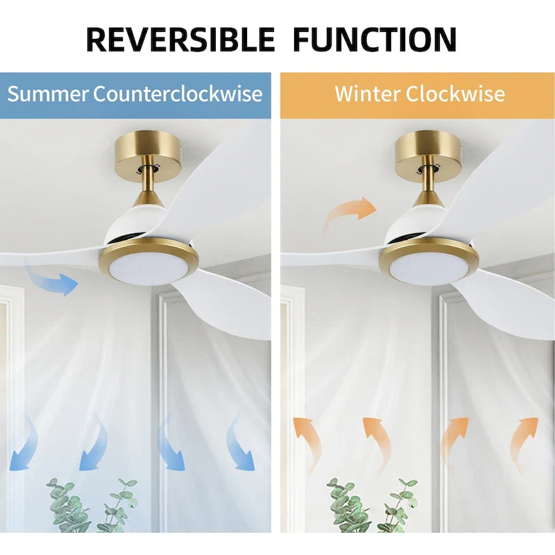 OVIOS Elegant 52-inch 2-in-1 Ceiling Fan Light with Remote Control