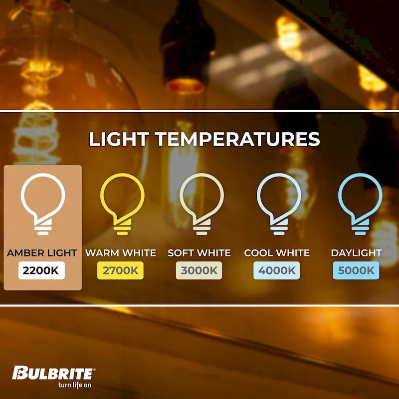 Bulbrite 60 Watt Dimmable Grand Nostalgic Medium (E26) Incandescent Bulb