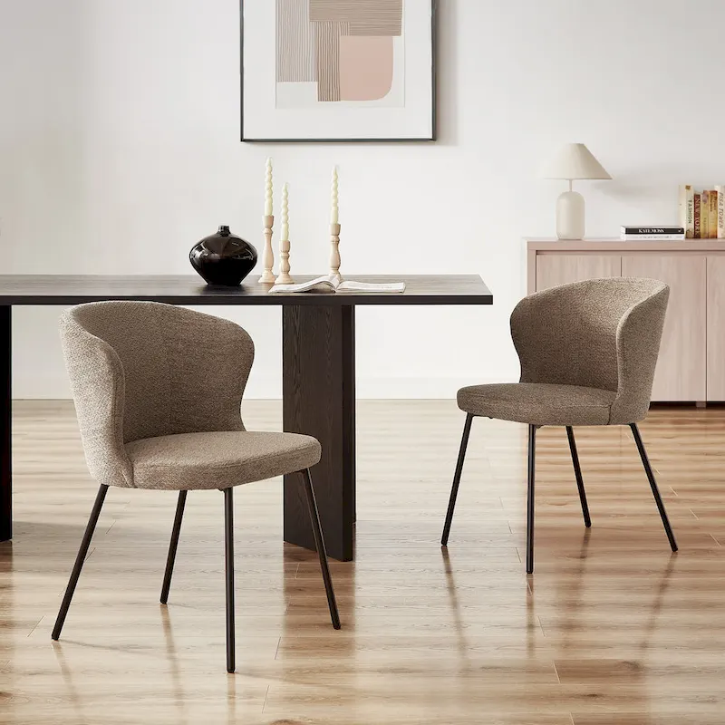 Modern Dining Chairs, Set of 2