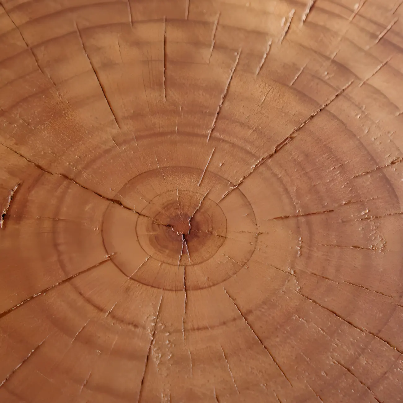 Rustic Solid Wooden Round Coffee Table with Natural Finish