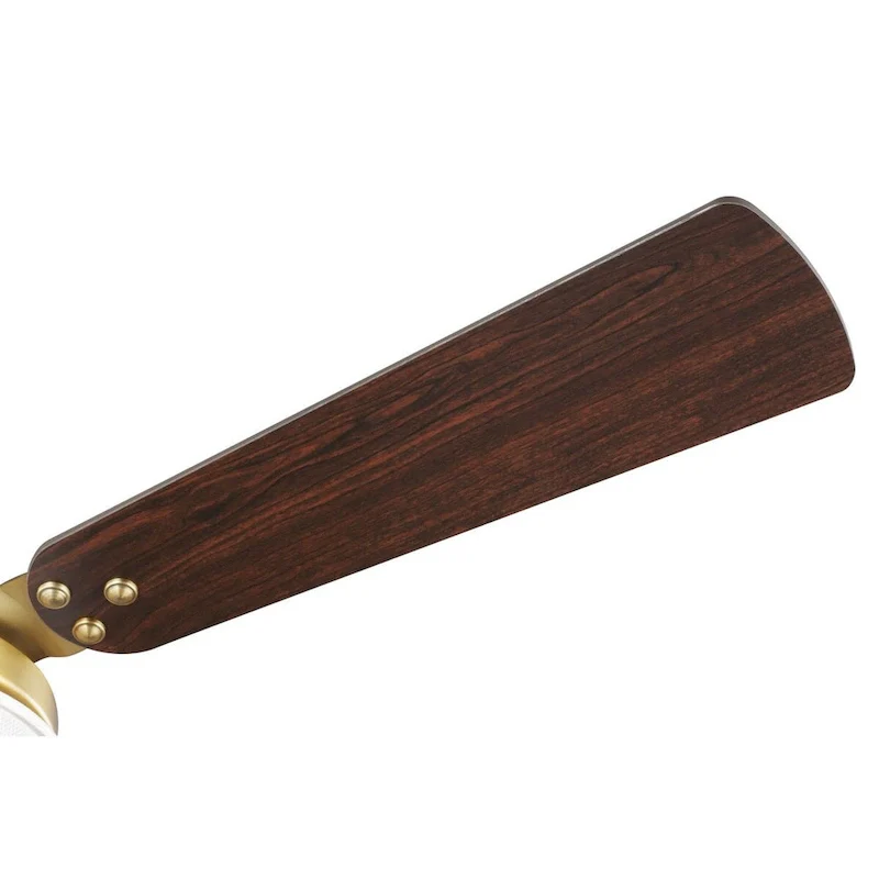 Tempt Collection 52  Five Blade Ceiling Fan - 9.500  x 25.120  x 12.870