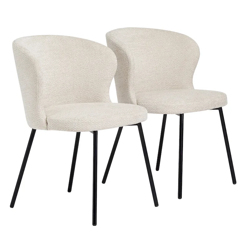 Modern Dining Chairs, Set of 2