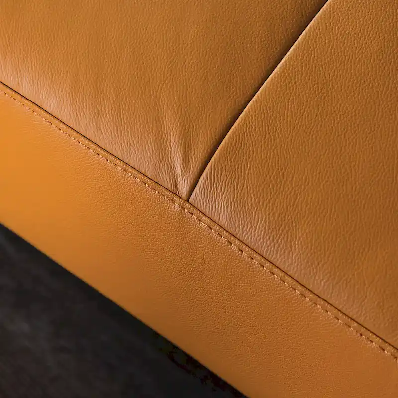 Furniture of America Jacques Modern Low Profile Leather L-Shaped Sectional with Chaise