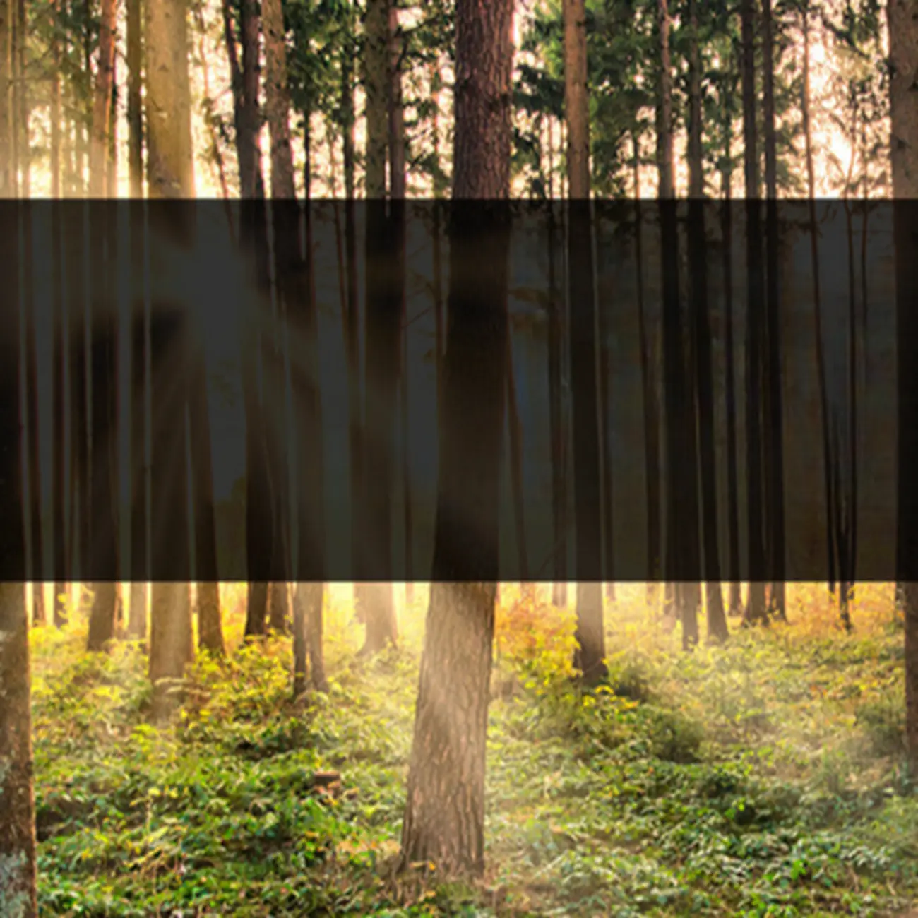 Modern brown wood and metal bar table