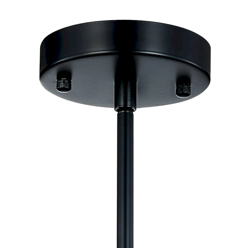 CO-Z Farmhouse Clear Glass Pendant Ceiling Light Fixture - Black