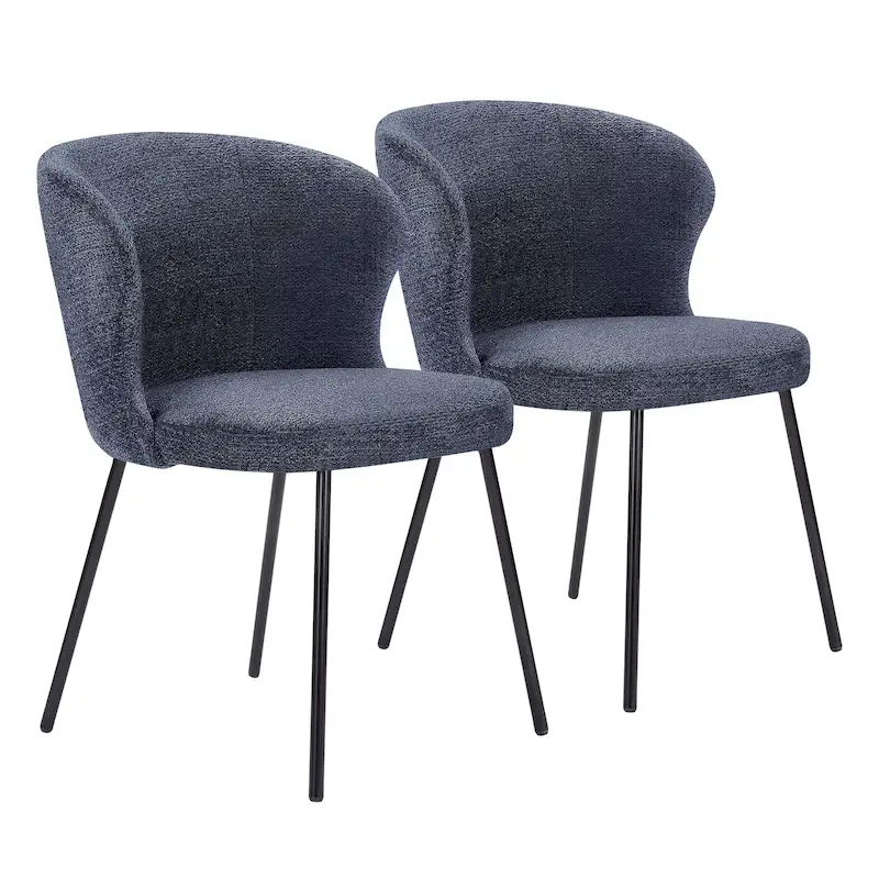 Modern Dining Chairs, Set of 2